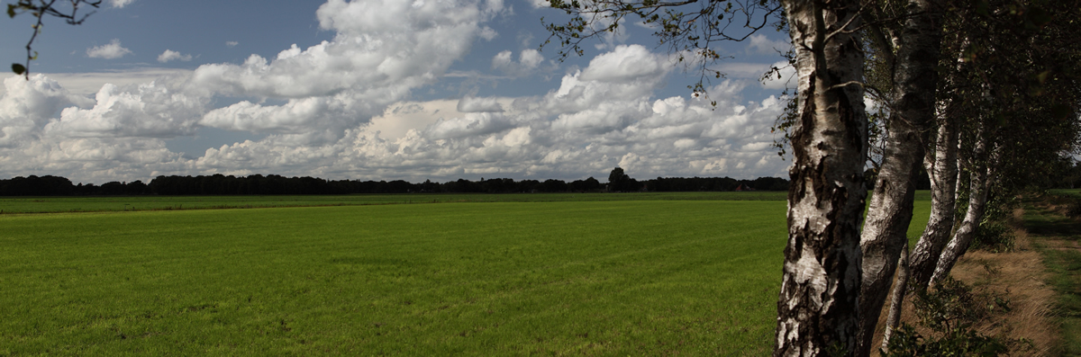 Auf Straßen und Wegen durch die schöne friesische Landschaft wandern. Das andere Friesland.