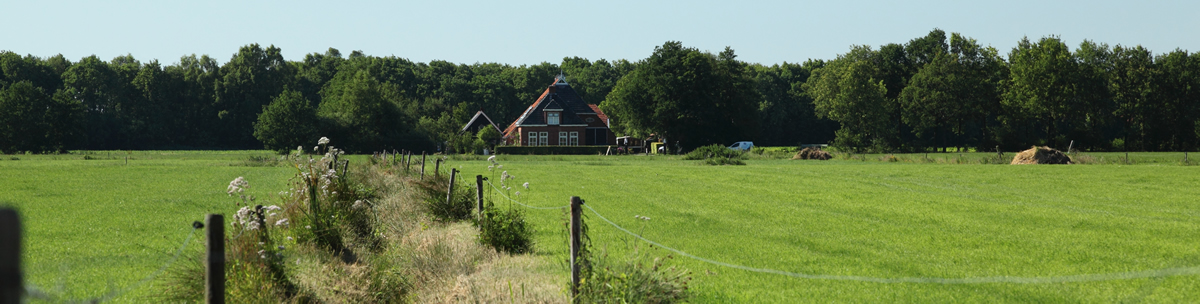 Radfahren durch die wunderschöne friesische Landschaft entlang des Tillema State.