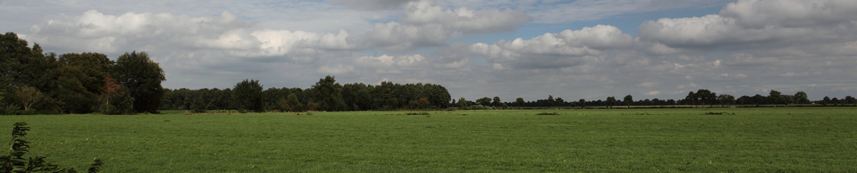 the meadows around Jubbega