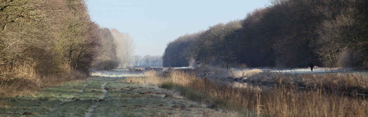 Tjonger, South‑East Friesland, The Other Friesland